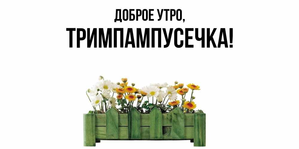 Открытка  для любимых и родных. тримпампусечка, Доброе утро  