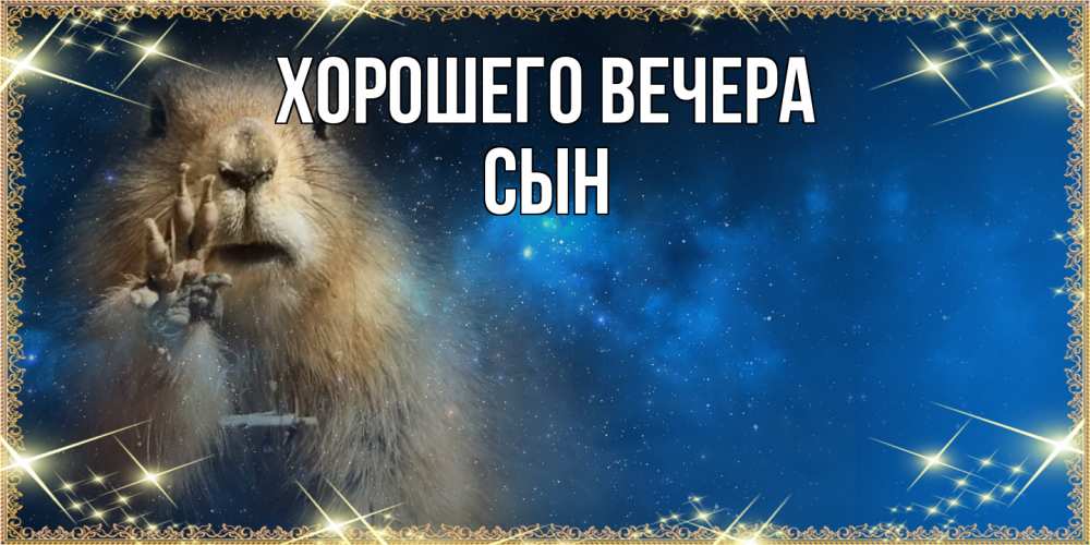 Картинка Хорошего вечера, Сын