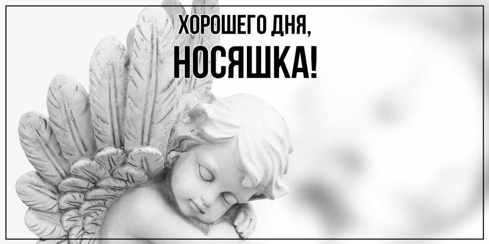 Открытка  для любимых и родных. носяшка, Хорошего дня  