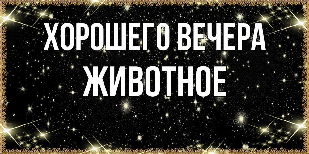 Картинка Хорошего вечера, животное