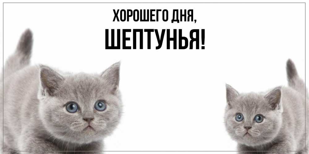 Картинка Хорошего дня, шептунья