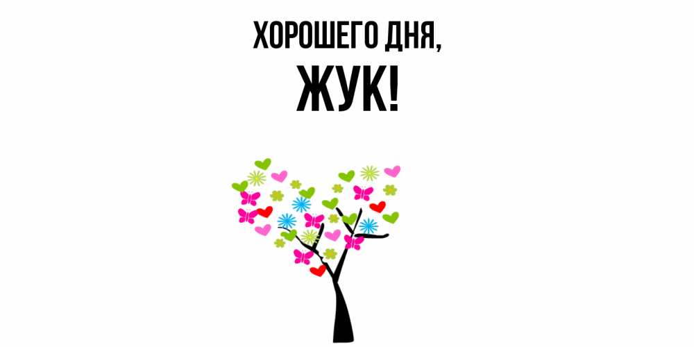 Открытка  для любимых и родных. жук, Хорошего дня  