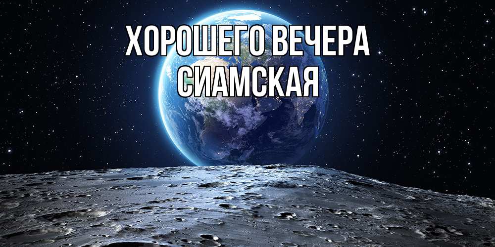 Открытка  для любимых и родных. сиамская, Хорошего вечера  