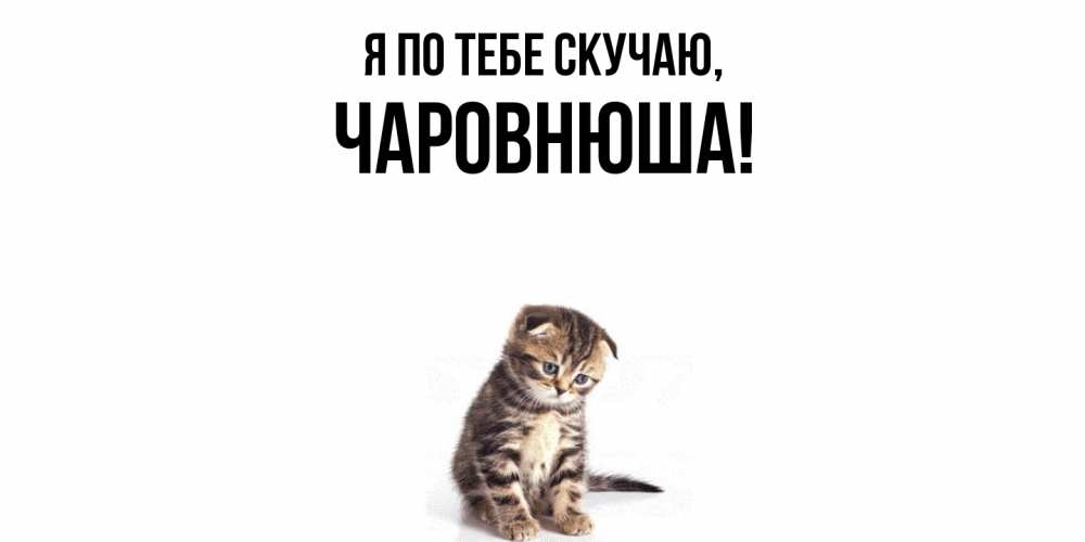 Картинка Я по тебе скучаю, чаpовнюша