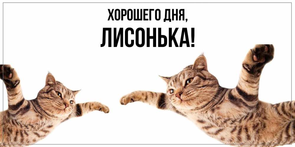 Открытка с именем, лисонька, Хорошего дня