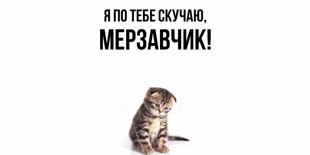 Открытка  для любимых и родных. мерзавчик, Я по тебе скучаю  