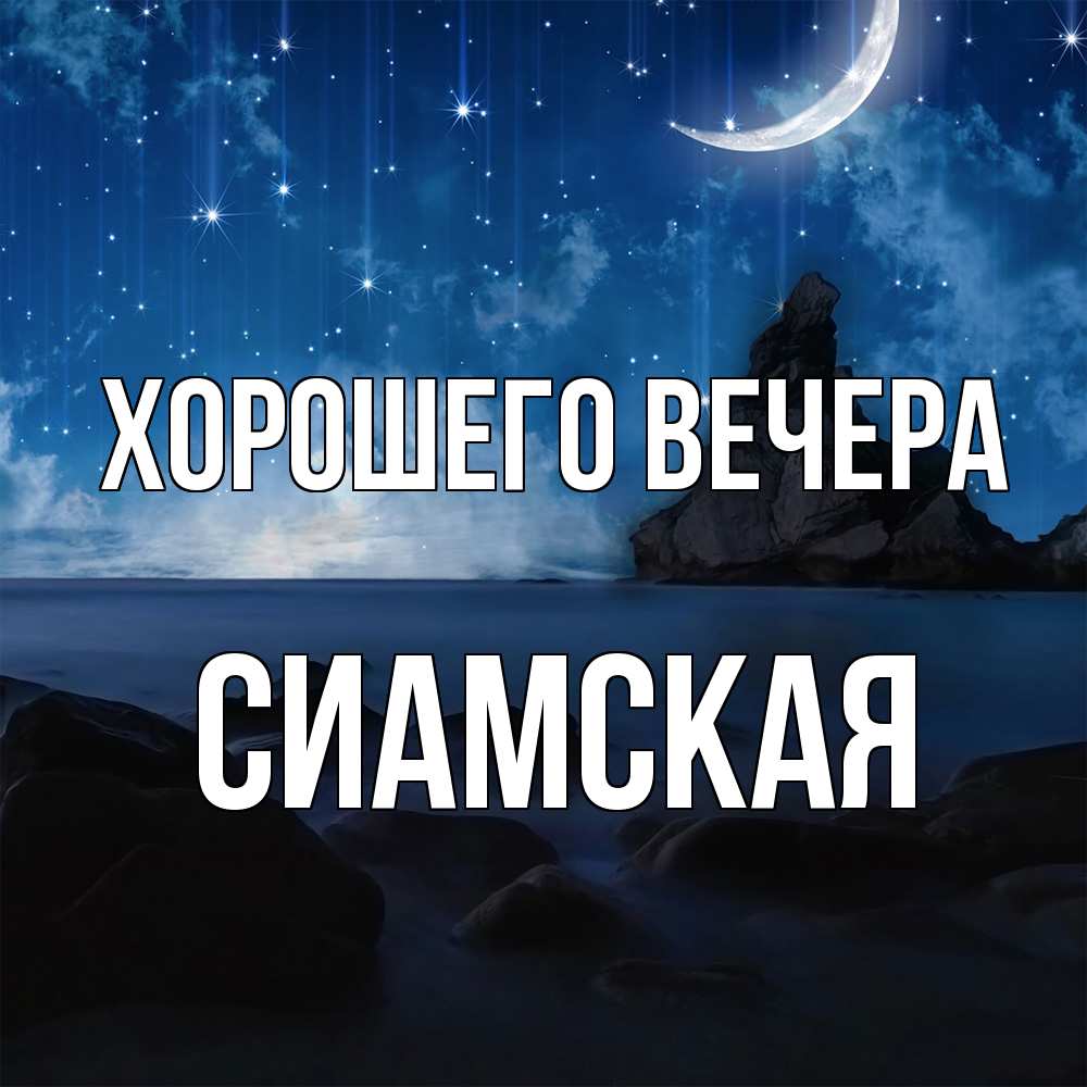 Открытка  для любимых и родных. сиамская, Хорошего вечера  