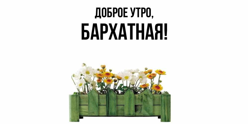 Открытка  для любимых и родных. бархатная, Доброе утро  