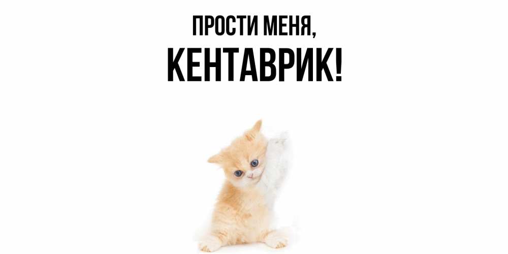 Открытка  для любимых и родных. кентаврик, Прости меня  