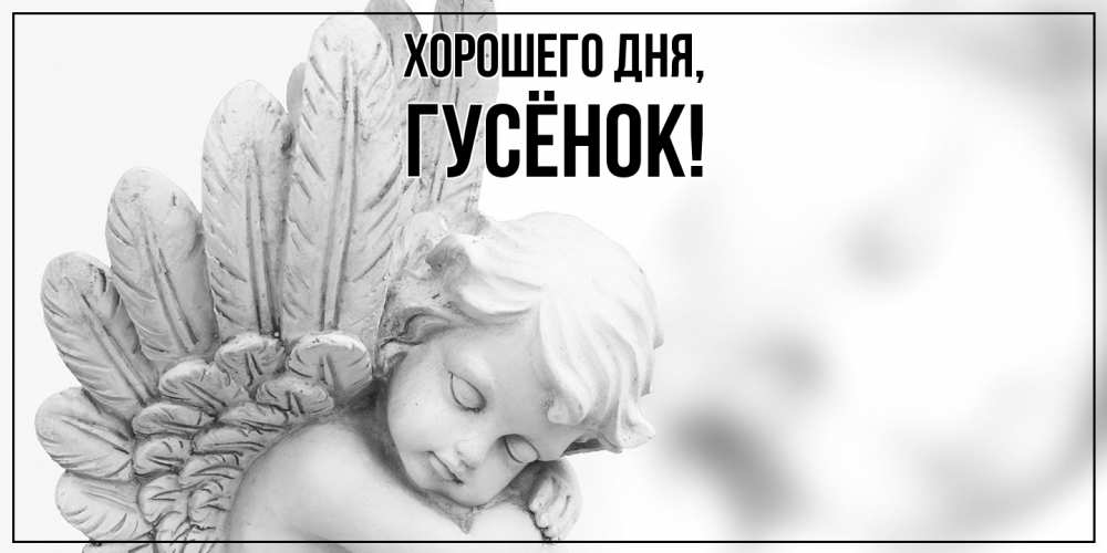 Открытка  для любимых и родных. гусёнок, Хорошего дня  