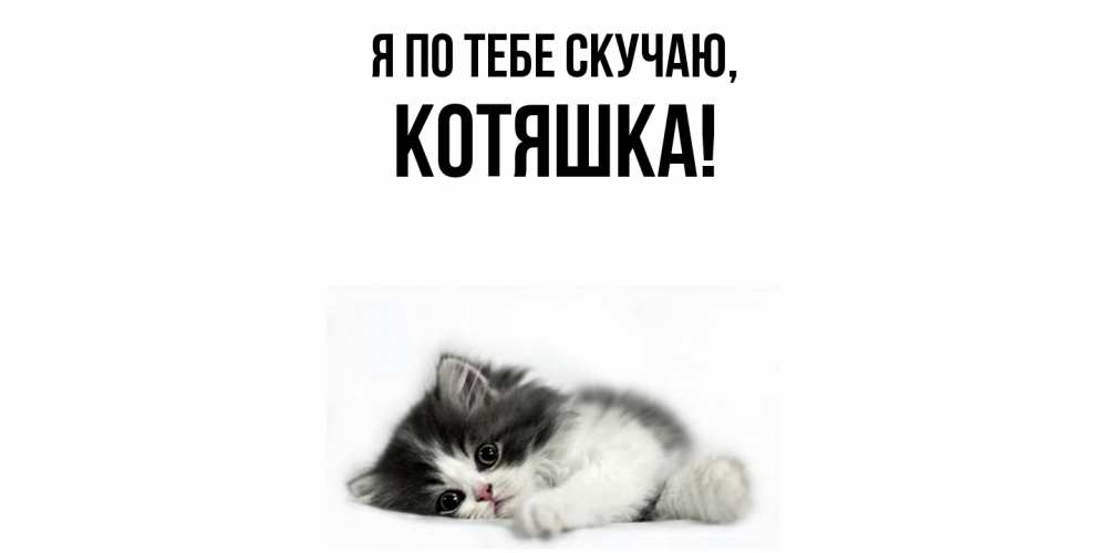 Открытка  для любимых и родных. котяшка, Я по тебе скучаю  