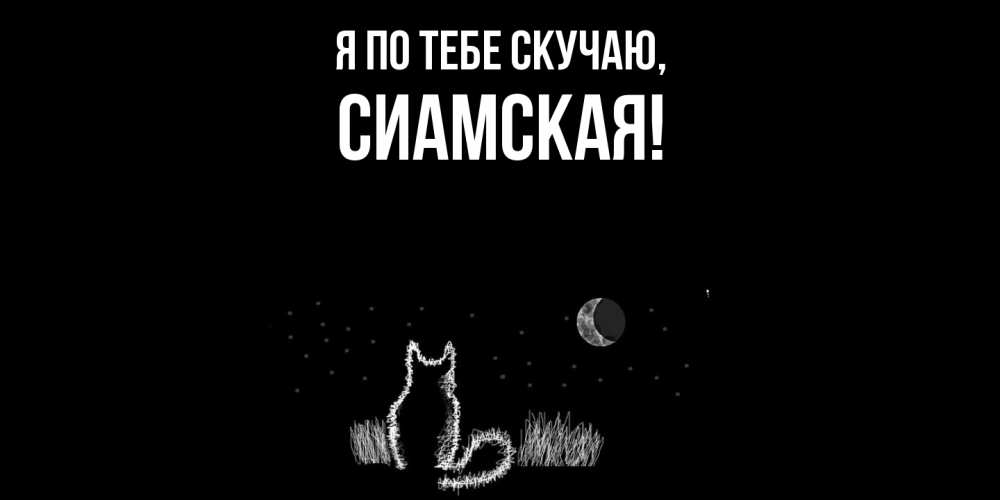 Картинка Я по тебе скучаю, сиамская