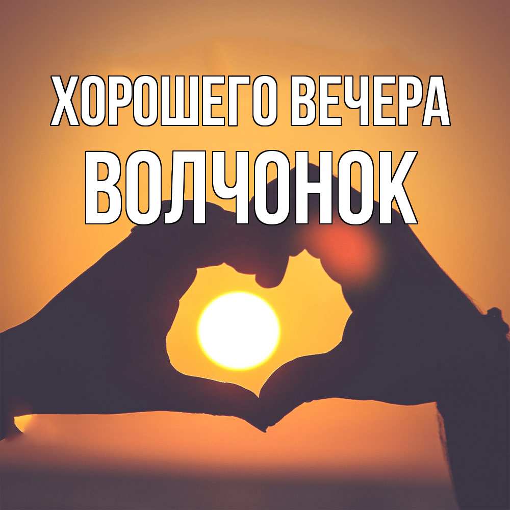Открытка  для любимых и родных. волчонок, Хорошего вечера  