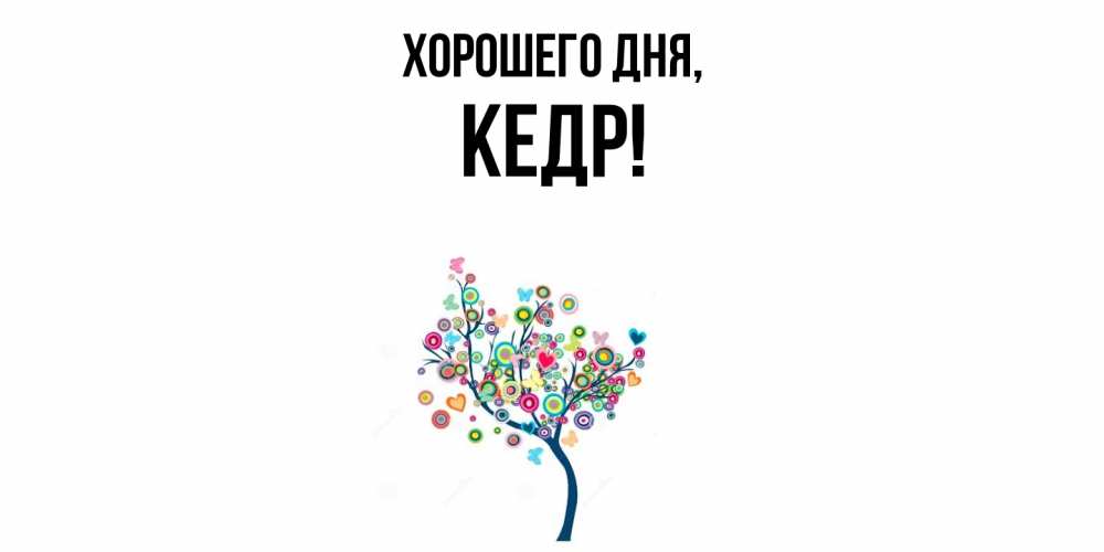 Открытка  для любимых и родных. кедр, Хорошего дня  