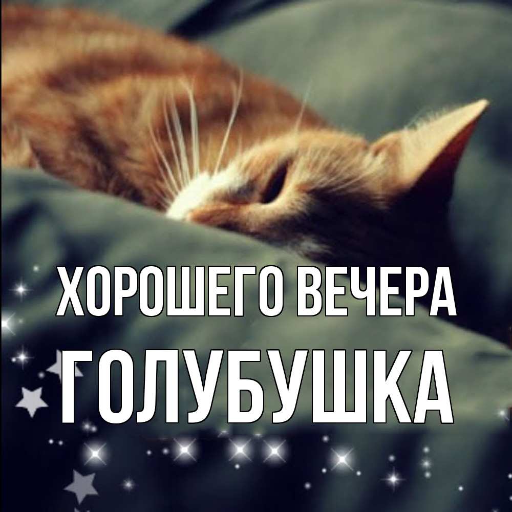 Открытка  для любимых и родных. голубушка, Хорошего вечера  
