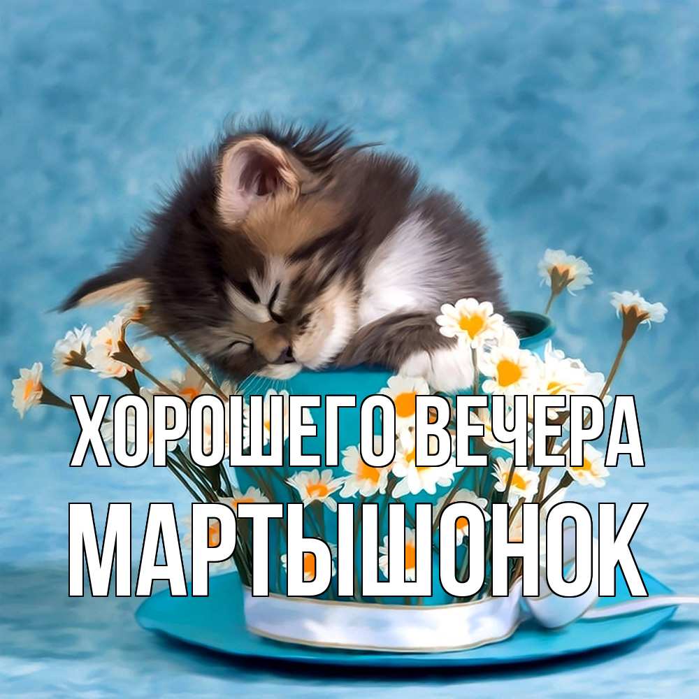 Картинка Хорошего вечера, маpтышонок