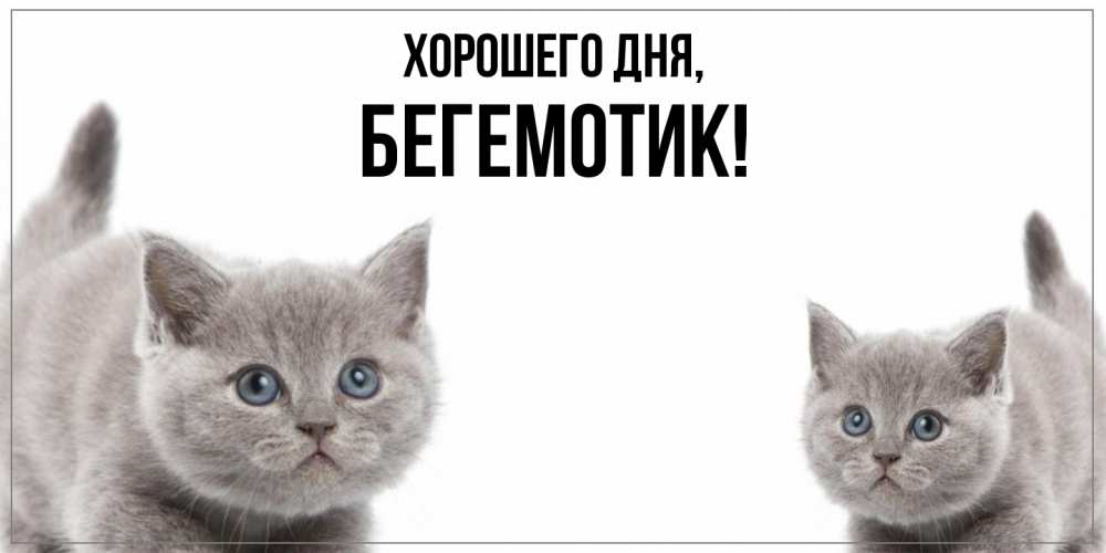 Открытка  для любимых и родных. Бегемотик, Хорошего дня  