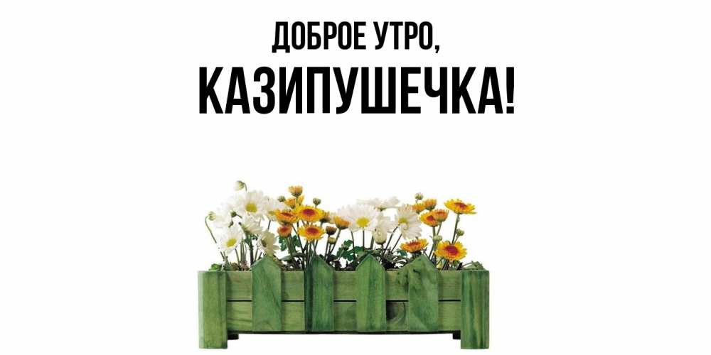 Открытка  для любимых и родных. казипушечка, Доброе утро  