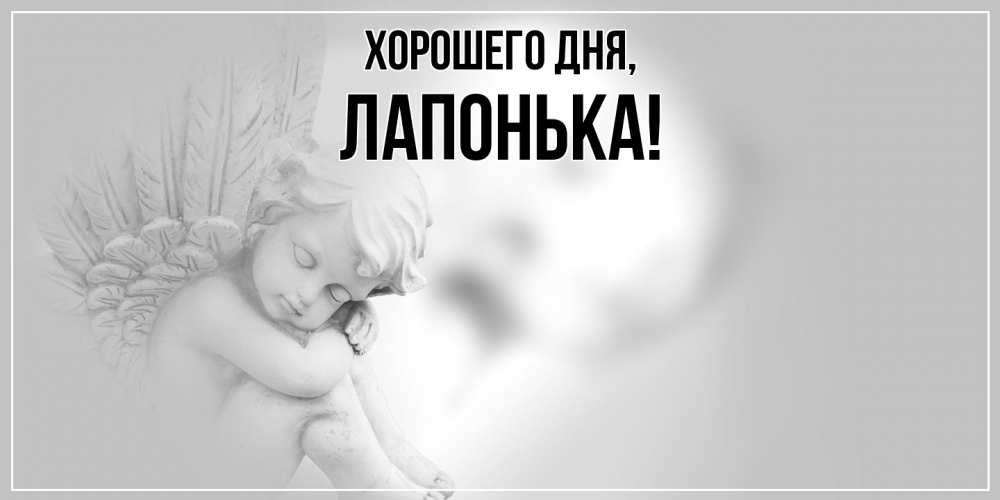 Открытка  для любимых и родных. лапонька, Хорошего дня  