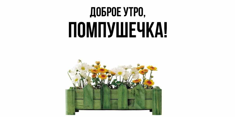 Открытка  для любимых и родных. помпушечка, Доброе утро  