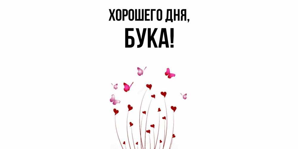 Открытка  для любимых и родных. бука, Хорошего дня  