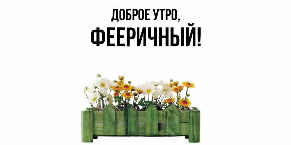 Открытка  для любимых и родных. фееричный, Доброе утро  
