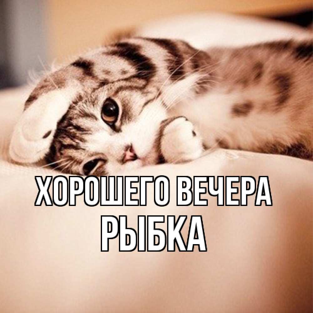 Открытка  для любимых и родных. рыбка, Хорошего вечера  