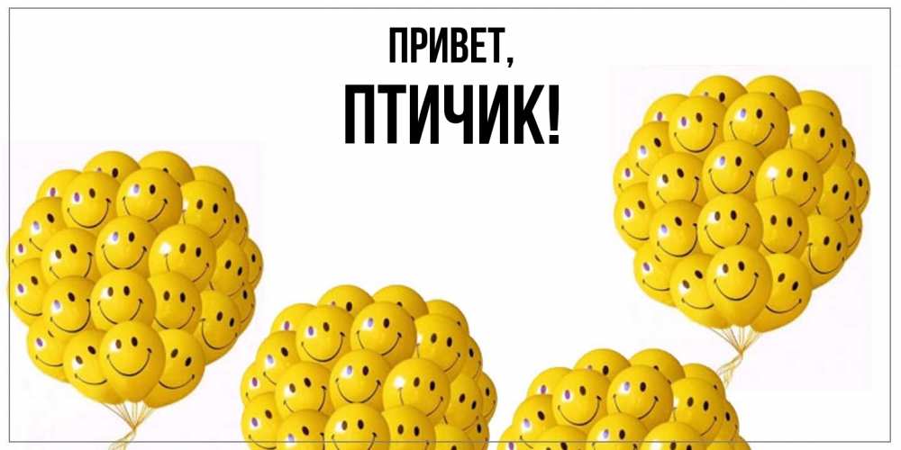 Открытка  для любимых и родных. птичик, Привет  