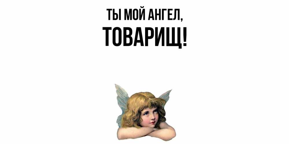 Открытка  для любимых и родных. Товарищ, Ты мой ангел  