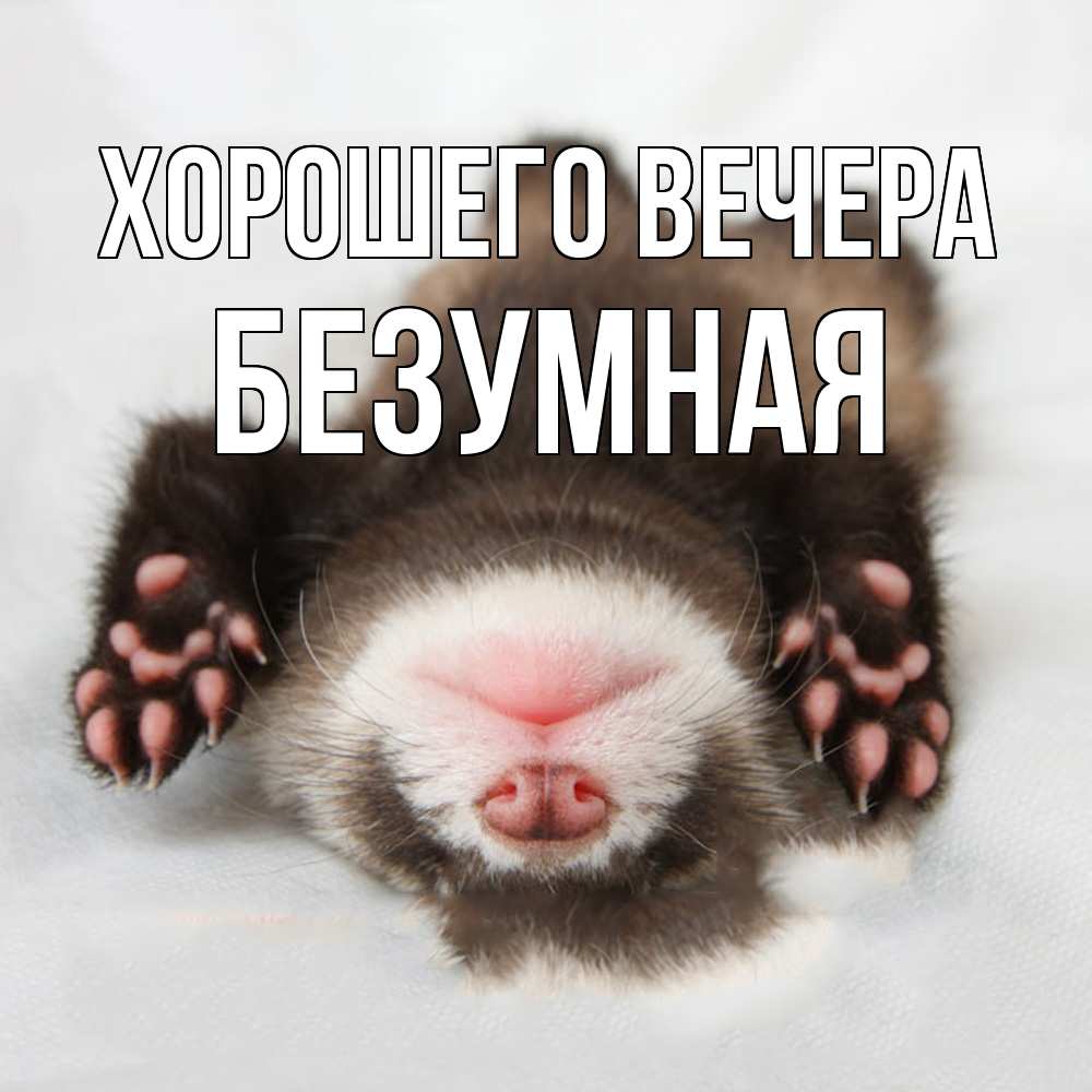 Открытка  для любимых и родных. безумная, Хорошего вечера  