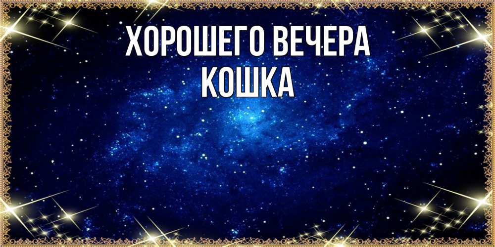 Открытка  для любимых и родных. кошка, Хорошего вечера  