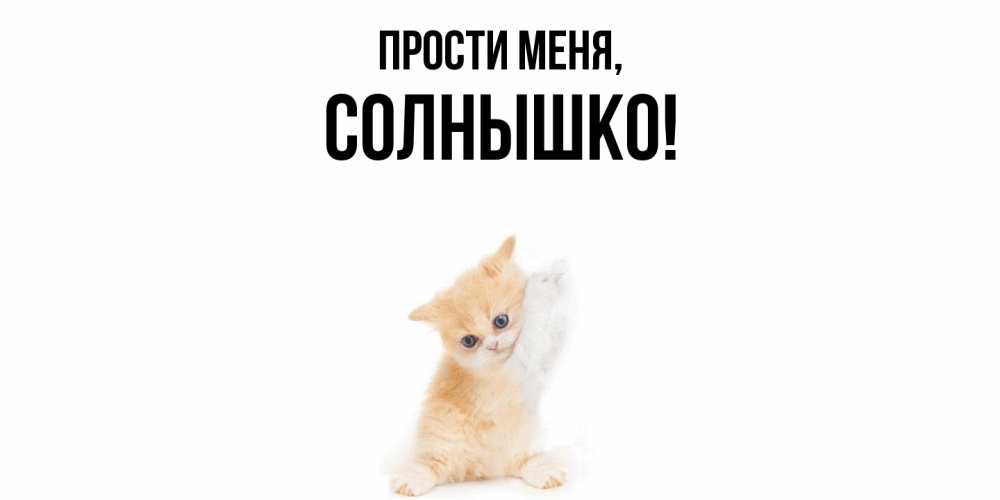Картинка Прости меня, солнышко