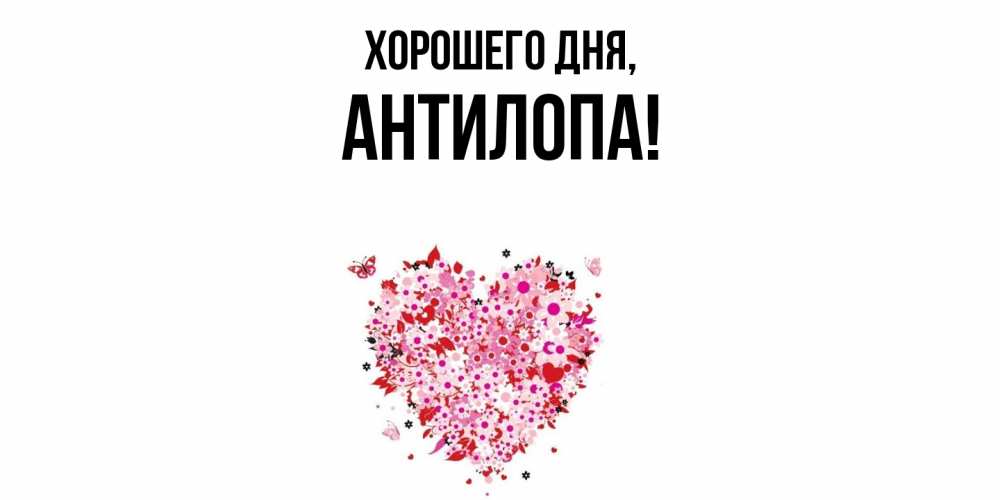 Открытка  для любимых и родных. антилопа, Хорошего дня  