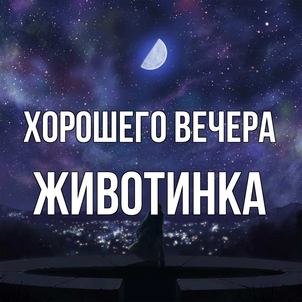Открытка  для любимых и родных. животинка, Хорошего вечера  