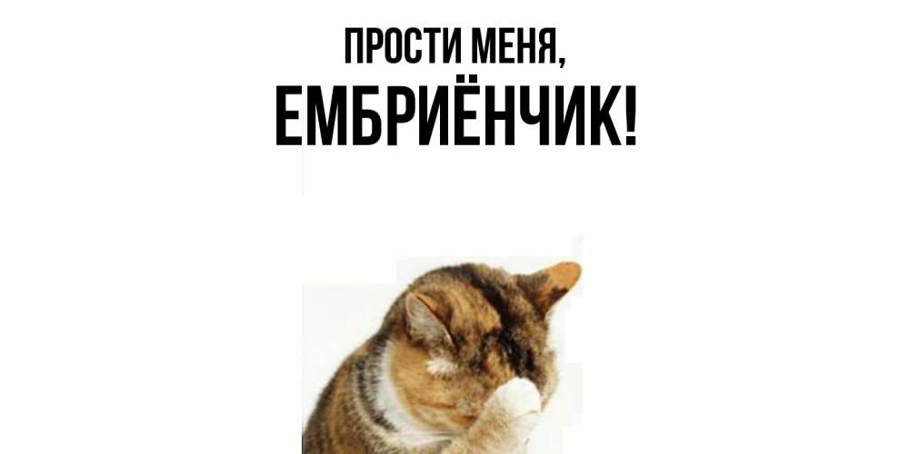 Картинка Прости меня, ембриёнчик