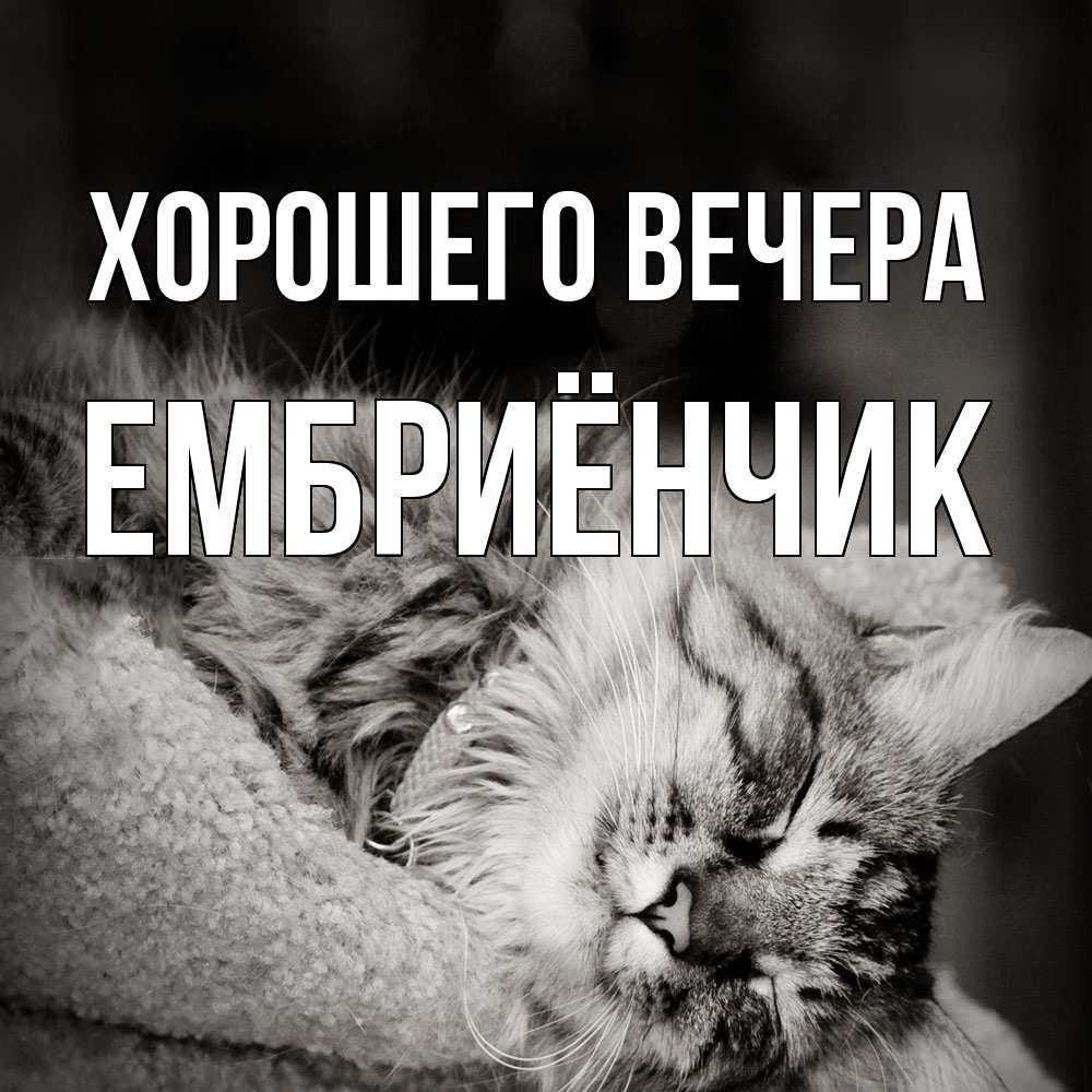 Открытка  для любимых и родных. ембриёнчик, Хорошего вечера  