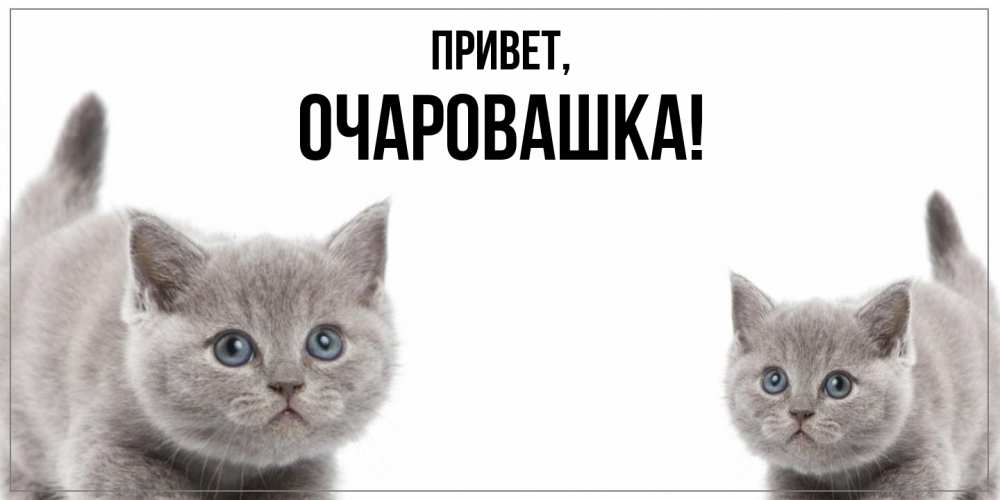 Картинка Привет, очаровашка