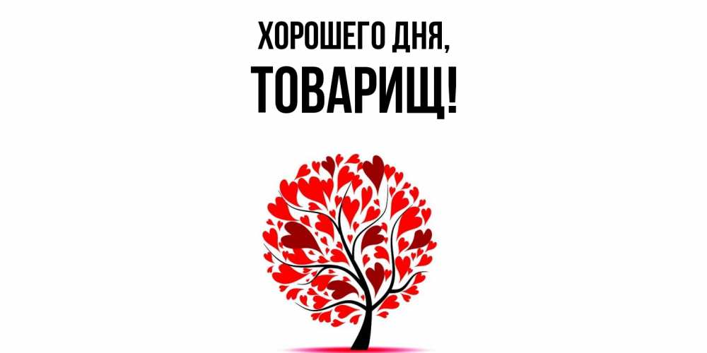Картинка Хорошего дня, Товарищ