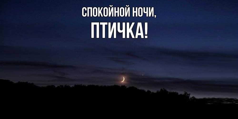 Картинка Спокойной ночи, птичка