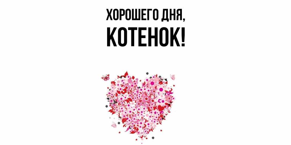 Открытка  для любимых и родных. Котенок, Хорошего дня  