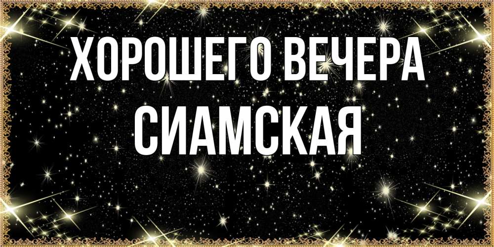 Картинка Хорошего вечера, сиамская