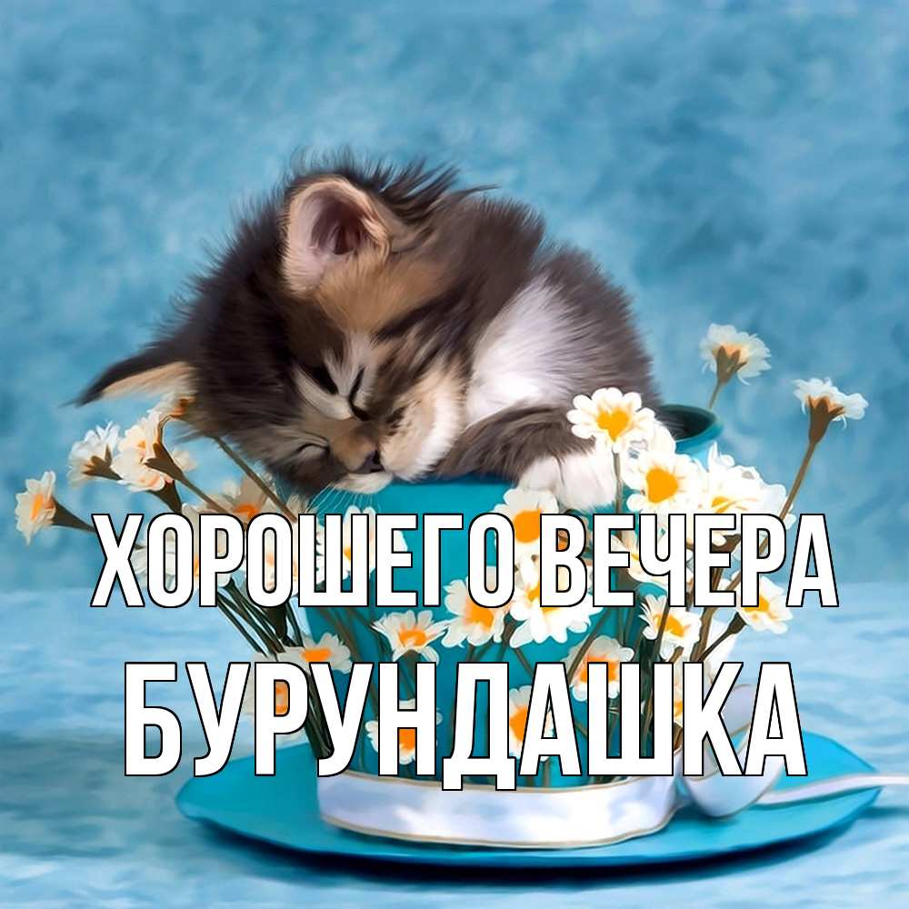 Картинка Хорошего вечера, бурундашка