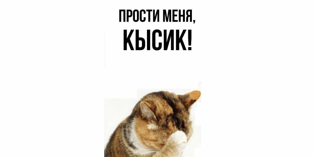 Картинка Прости меня, кысик