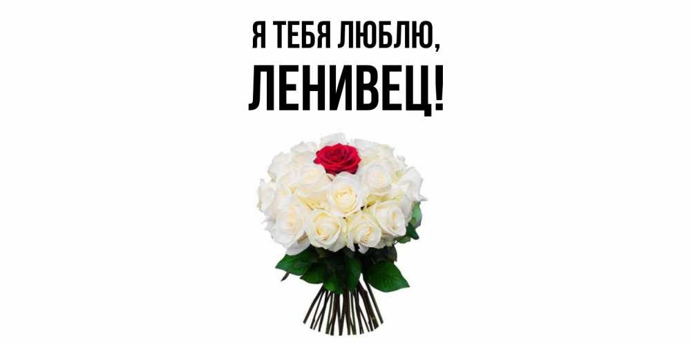 Картинка Я тебя люблю, ленивец