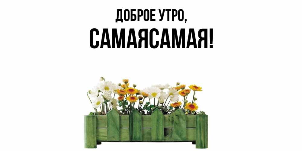 Открытка  для любимых и родных. самаясамая, Доброе утро  