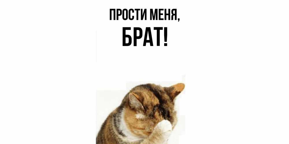Открытка  для любимых и родных. Брат, Прости меня  