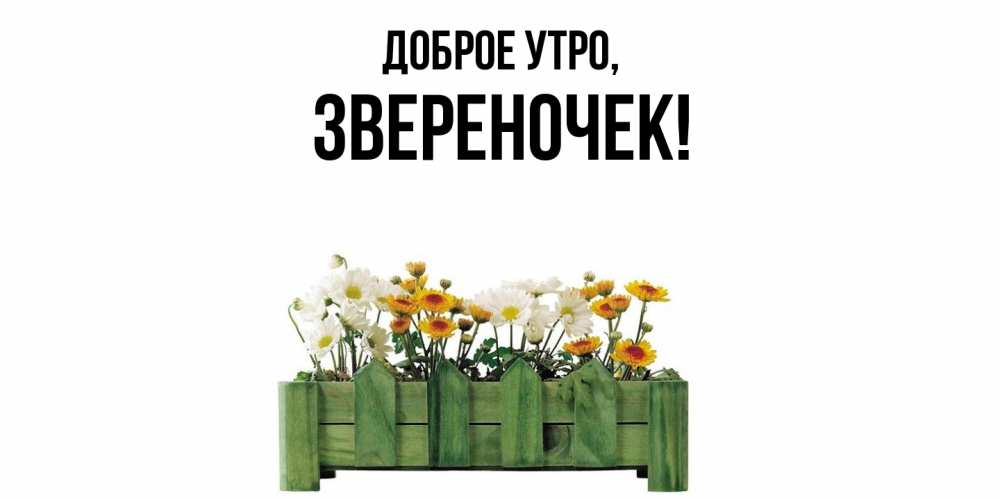 Открытка  для любимых и родных. звереночек, Доброе утро  