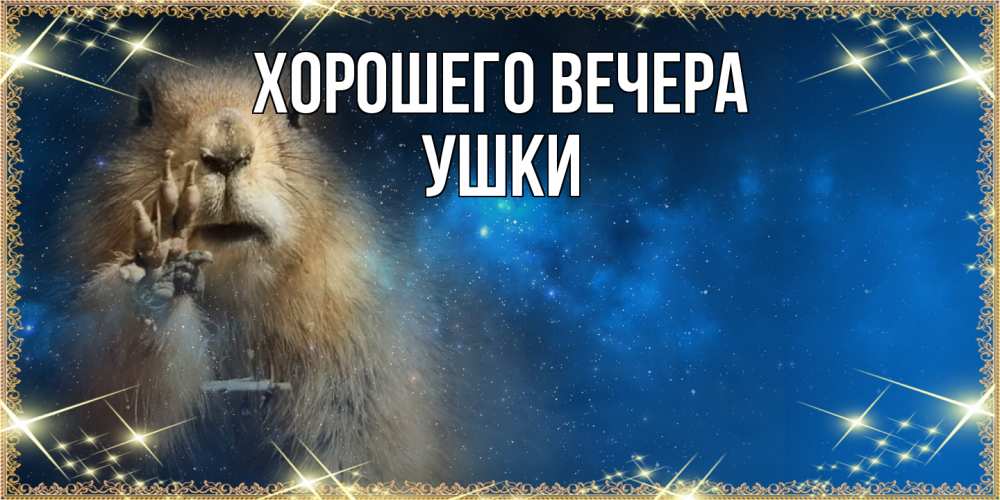 Открытка  для любимых и родных. ушки, Хорошего вечера  
