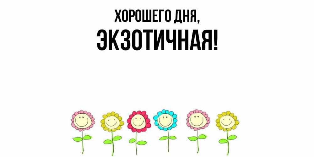 Открытка  для любимых и родных. экзотичная, Хорошего дня  