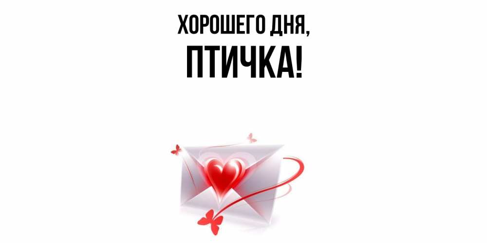 Картинка Хорошего дня, птичка